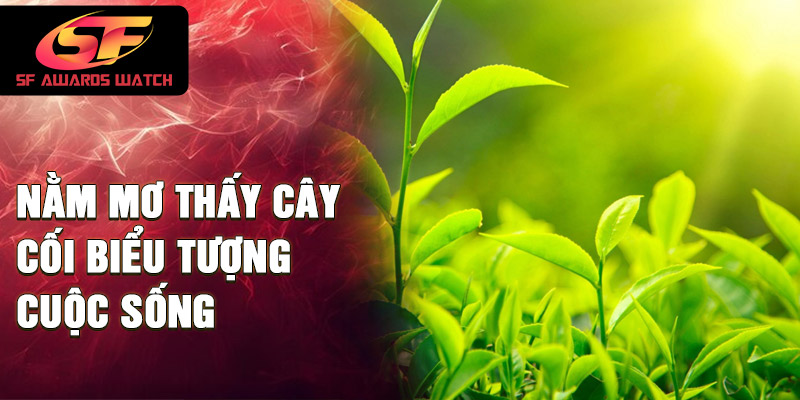 Nằm mơ thấy cây cối biểu tượng cuộc sống