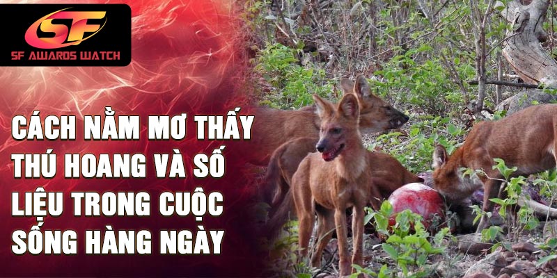 Cách nằm mơ thấy thú hoang và số liệu trong cuộc sống hàng ngày