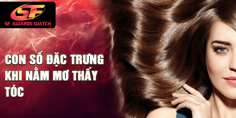 Con số đặc trưng khi nằm mơ thấy tóc