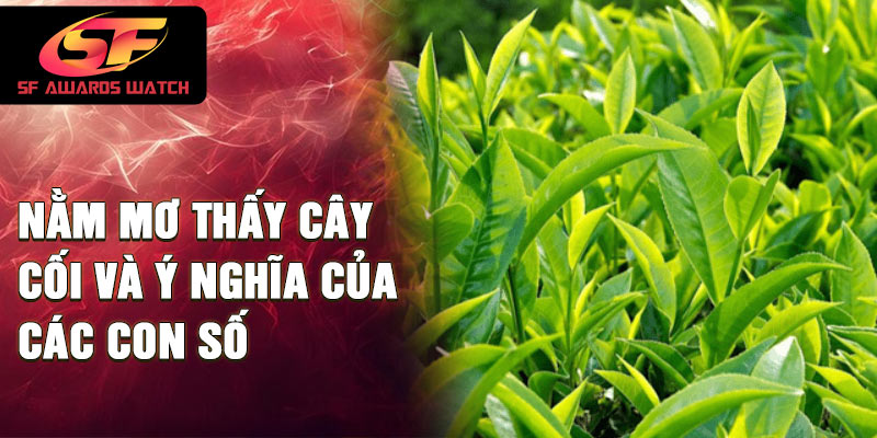 Nằm mơ thấy cây cối và ý nghĩa của các con số