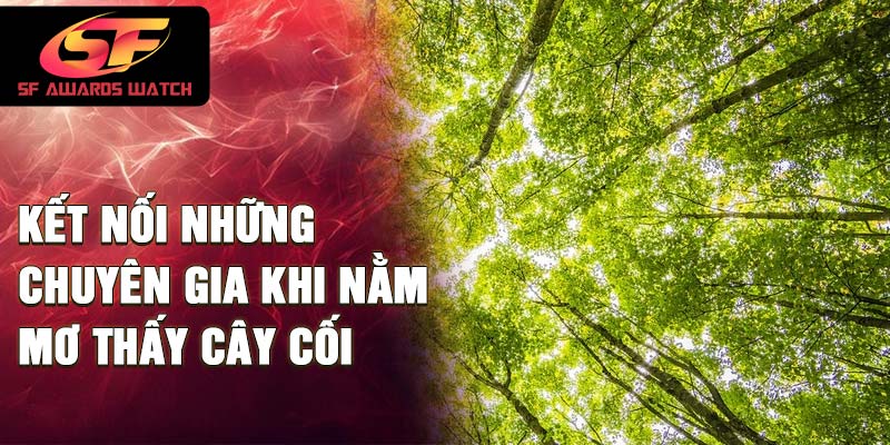 Kết nối những chuyên gia khi nằm mơ thấy cây cối